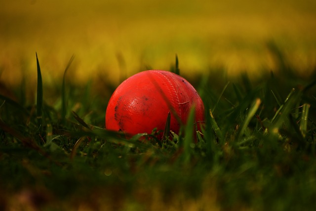How to Use Online Cricket Games to Improve Analytical Thinking: Laser247, Gold365, 11xplay