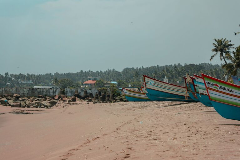 Best Practices for Canvassing in Underserved Communities: Goldbet6, Tigerexch, Betbook247 app