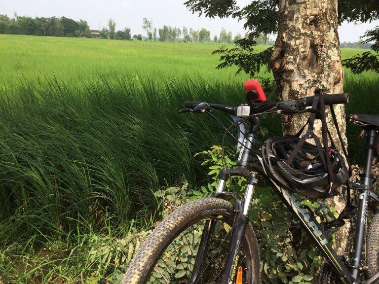 The Role of Big Data Analytics in Smart Home Optimization: 11xplay online id, Diamondexch9 login, Sky exchange registration