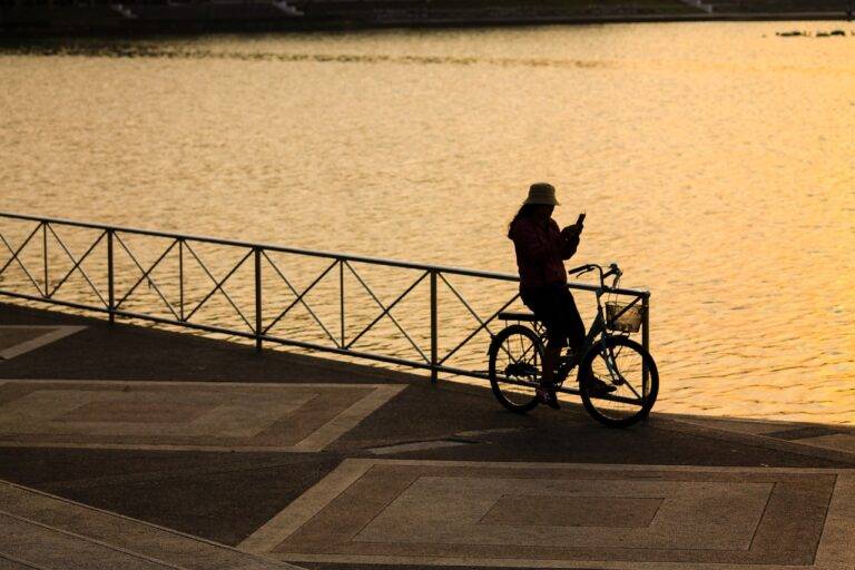 Gamification Elements in IPL Ticket Sales: 99 exchange bet, Laser247 register, Yolo247