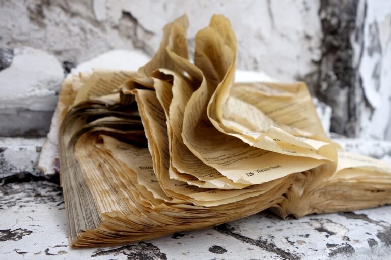 Addressing Implicit Bias in Public School Curriculum and Instruction: 11xplay pro, 24 betting login india, Skyinplay live login