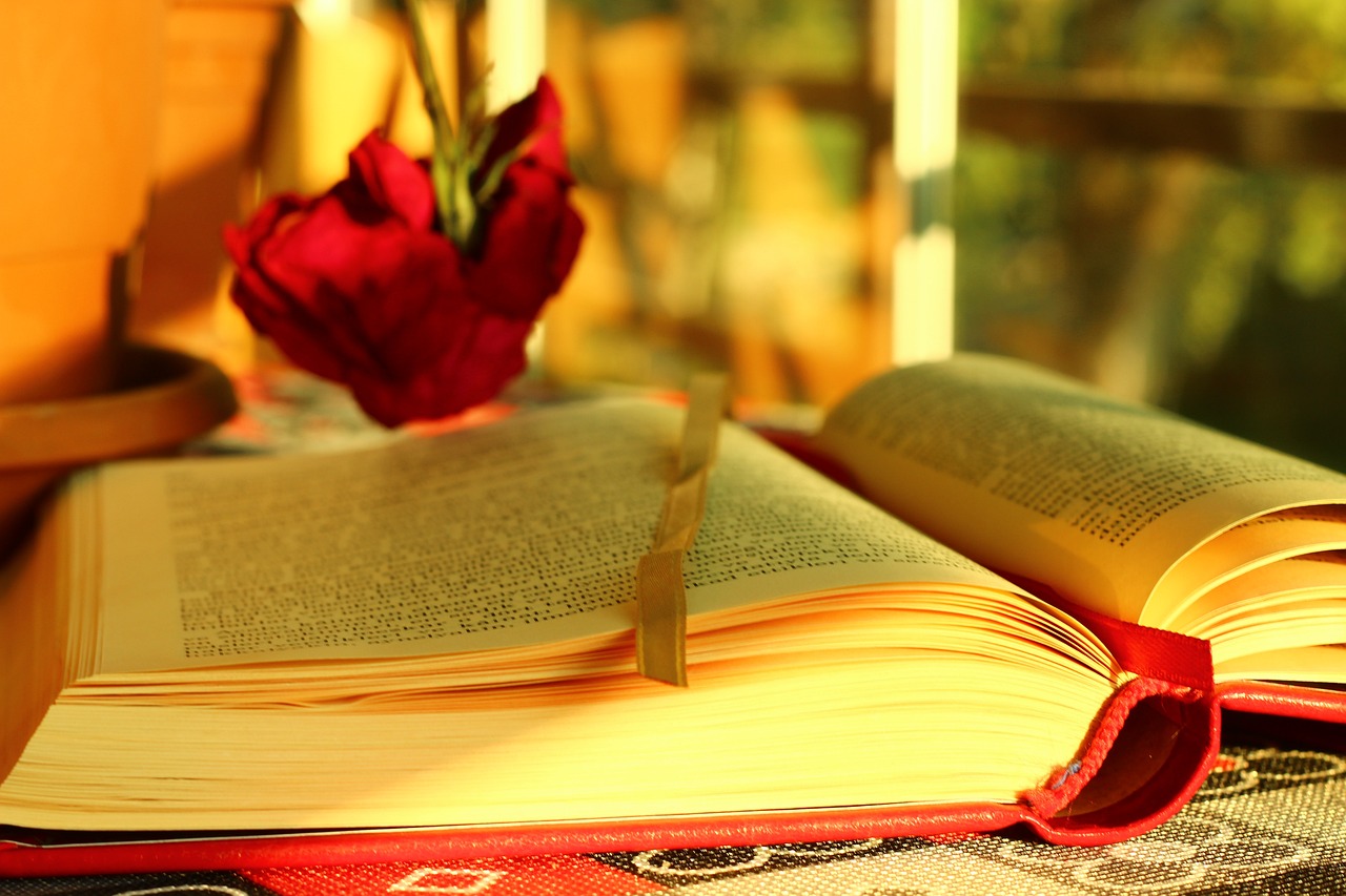 The Impact of School Climate on Student Success in Public Schools: 11xplay reddy login id and password, Laser247. Com cricket, Sky live casino