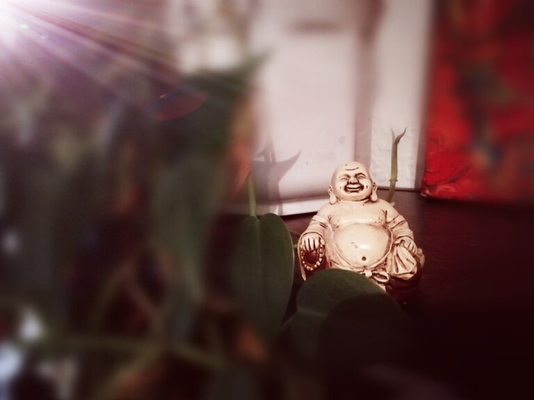 The Future of Canvassing: Trends to Watch: Lotusbook 365, Play99exch, All panel mahadev