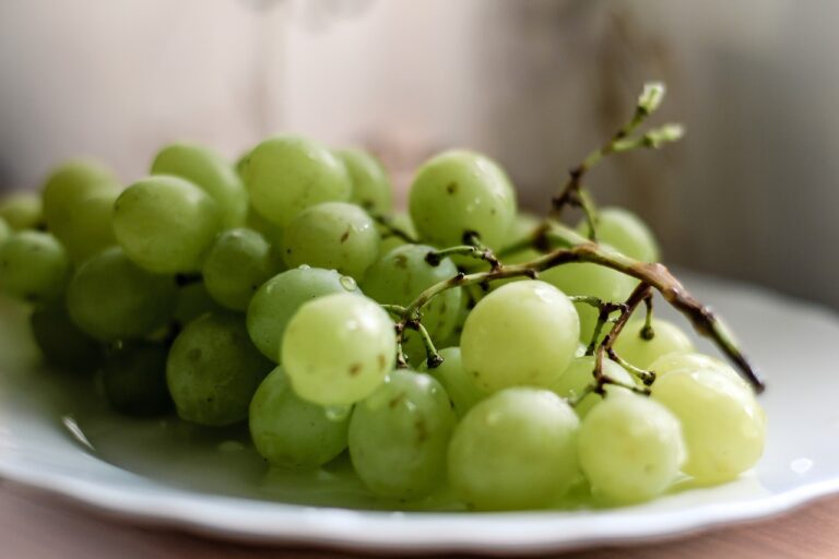 Emerging Technologies in Honey Production: All panel.com, Cricket 99 betting app, Lotus365 login