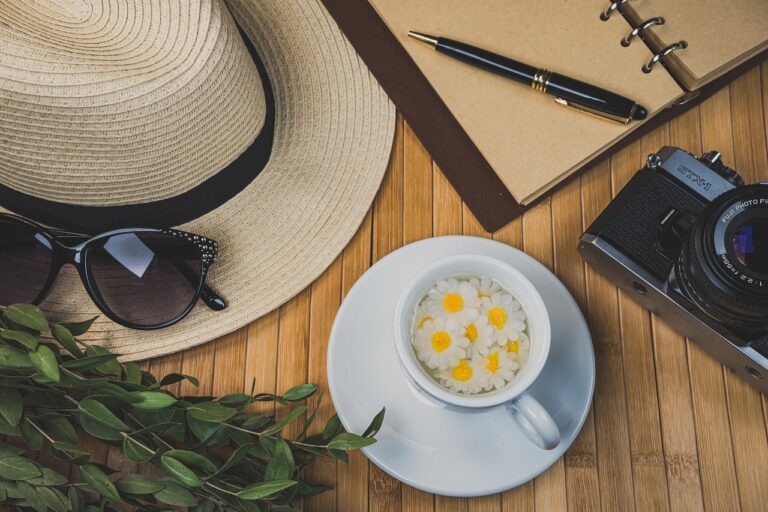 Integrating Culturally Relevant Literature into Public School English Classes: 11xplay.com online, India 24 bet login, Skyinplay login