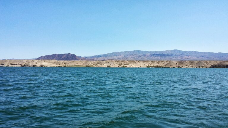 Exploring the Integration of Virtual Reality in Smart Homes: 11 x play login, India24bet, Skyfairs signup