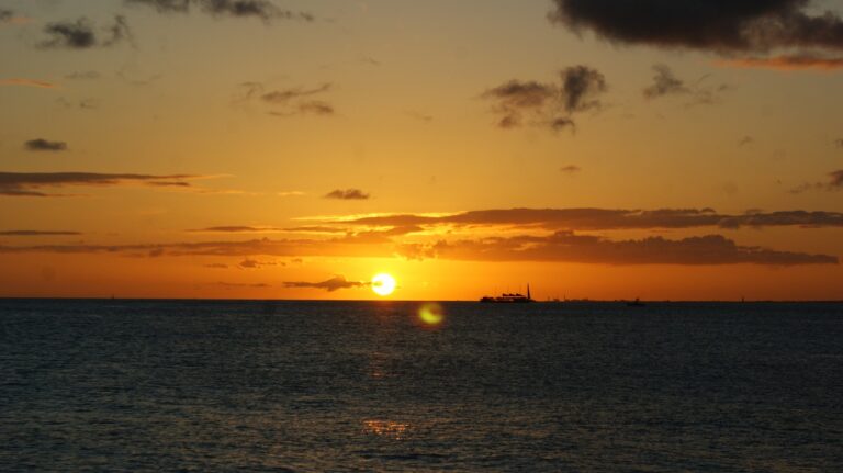 Smart Home Gadgets for Multigenerational Living: 11xplay com, Gold365, Skyfairs