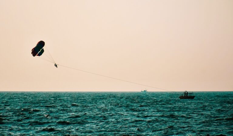 Cricket Nutrition and the Psychological Effects of Performance Anxiety: Cricbet99, Sky11 bet, Play lotus365