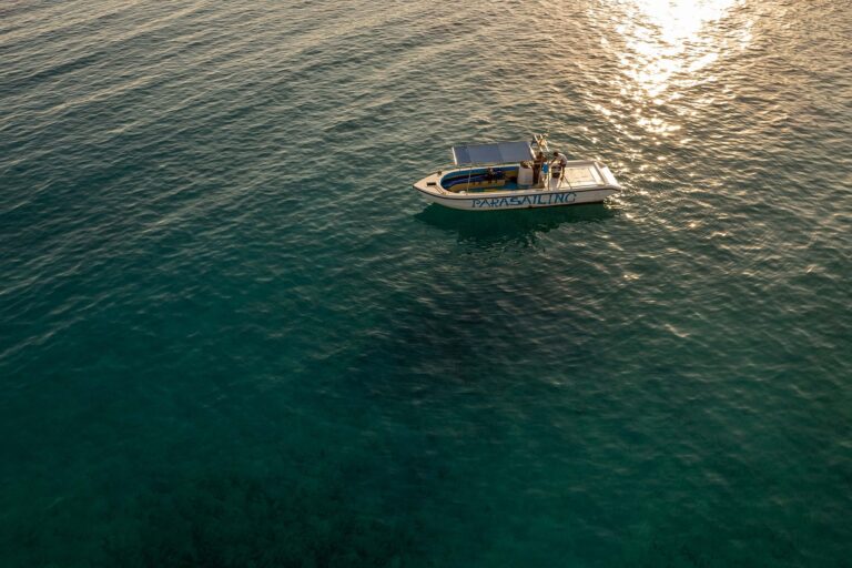 The Role of Equine Therapy in Cricket Injury Rehabilitation: Cricbet99 id password, Sky99 login, Ready book club