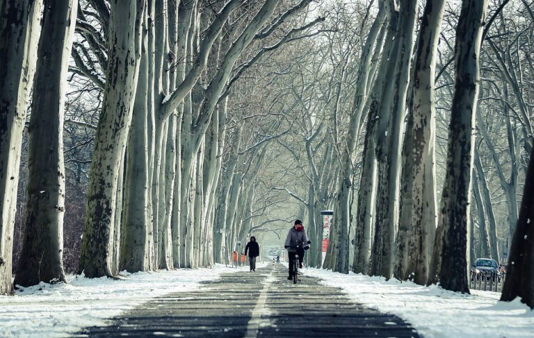 Exploring the Market for Aftermarket Interior Upgrades and Customization Options: Betbhai.com exchange, Play99 exchange, Gold365 registration