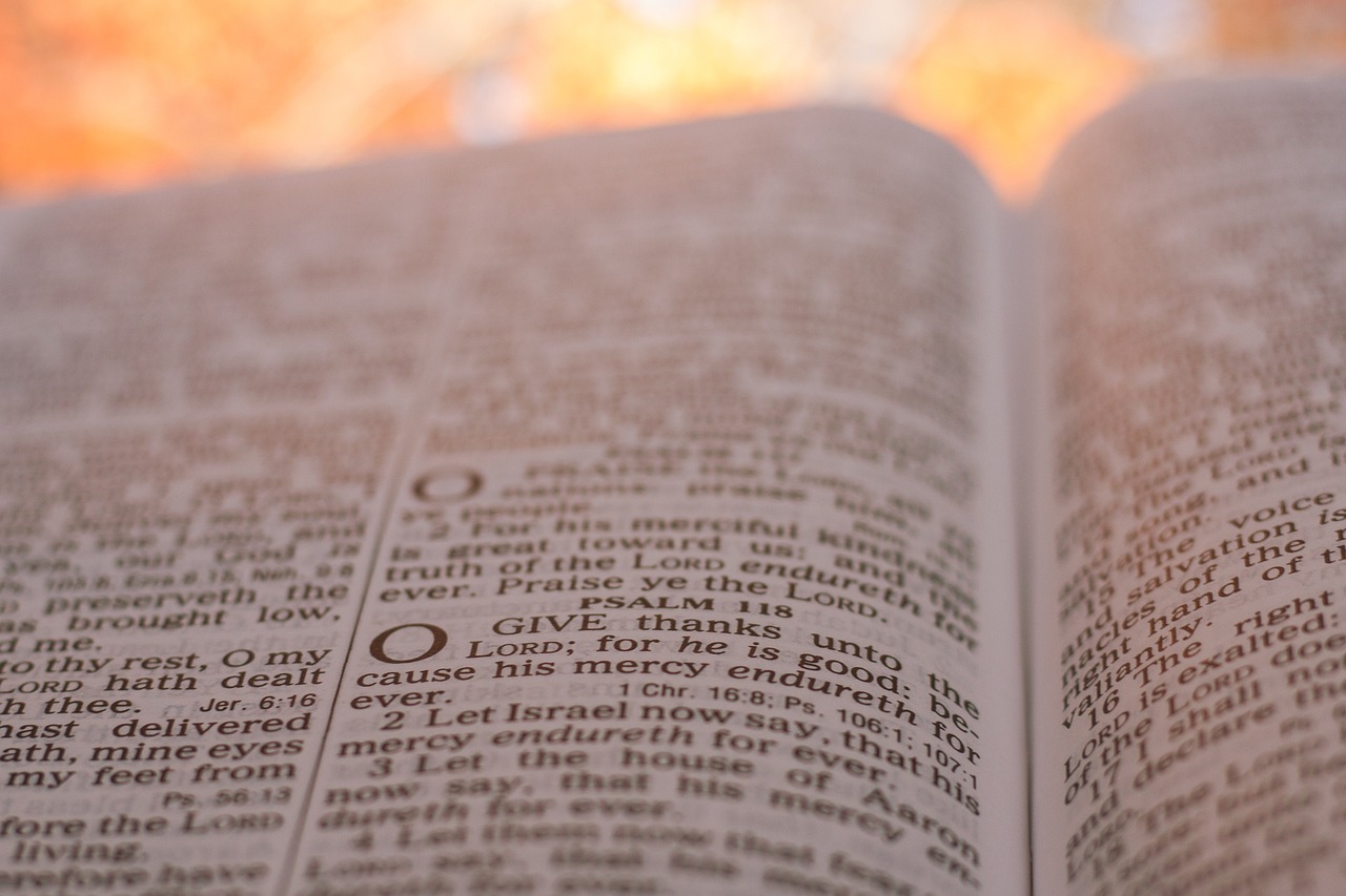 Supporting English Language Learners in Public School Content Areas: 11xplay reddy login registration, Laser book 247, Skylive casino