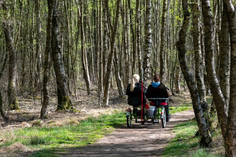 Ensuring Fairness in Ticket Distribution for High-Demand IPL Matches: Allpannel, Lotus bhai, Allpaanel com mahadev book login
