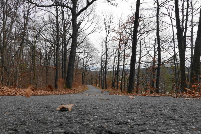 Understanding the Benefits of Aftermarket Brake Upgrades and Big Brake Kits: All pannel .com, Play99exch win login, Gold365