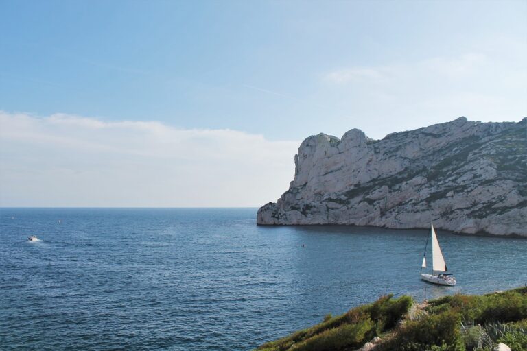 The Influence of Animal-Assisted Therapy on Cricket Performance and Recovery: Cricbet99 register, Sky1exchanges id, 11xplay reddy anna