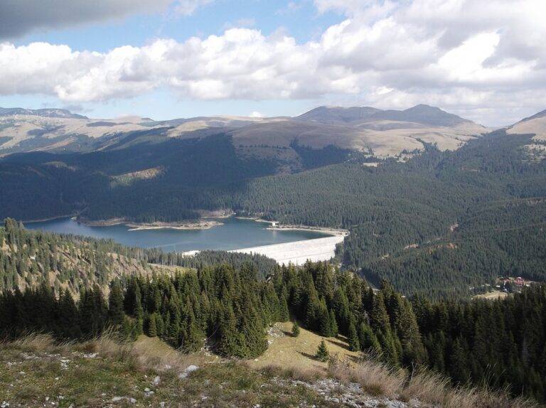 Enhancing Social Connectivity with Smart Home Technology: 11xplay online, Indian 24bet, Skyinplay login