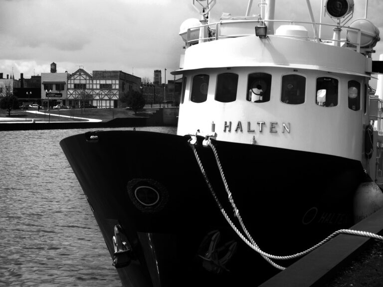 The Impact of Smart Home Technology on Urban Planning: 11x bet login, India24bet login, Sky fair